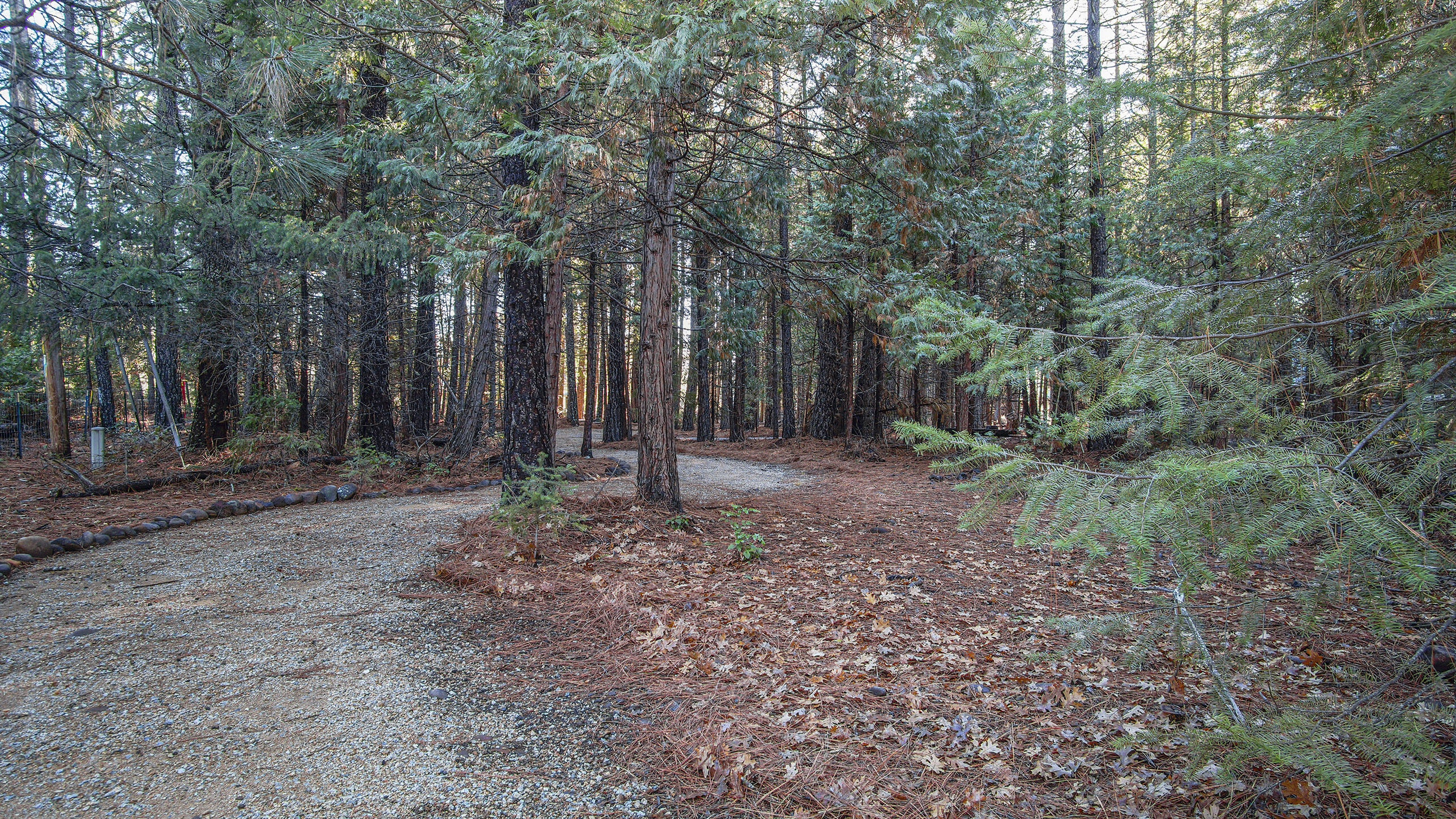7911 Long Hay Flat Road Shingletown, CA 96088 - Photo 46 of 50 Trail View