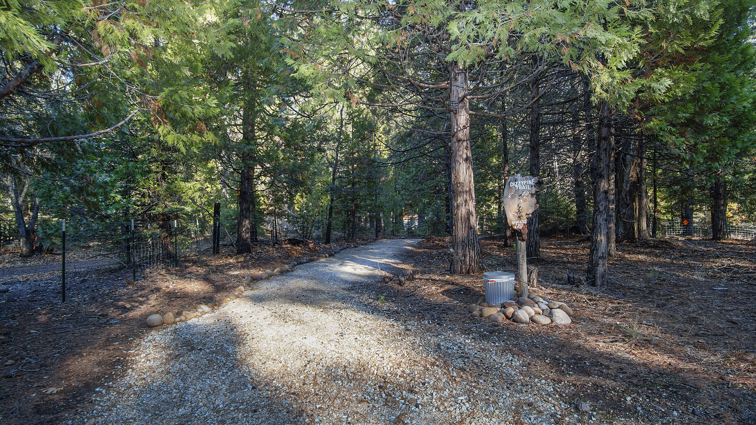 7911 Long Hay Flat Road Shingletown, CA 96088 - Photo 48 of 50 Dizzypine Trail
