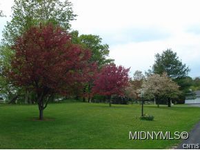 4273 Bristol Road Clinton, NY 13323 - Photo 6 of 14 Gallery Image 6