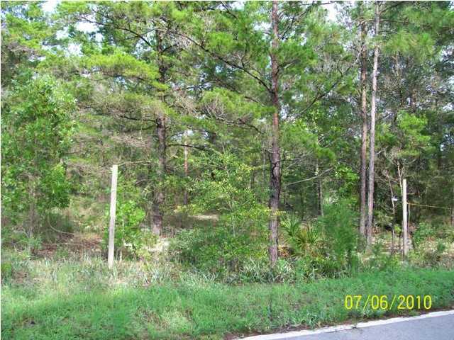 Lot 65 West Point Washington Road Santa Rosa Beach, FL 32459 - Photo 4 of 9 Gallery Image 4