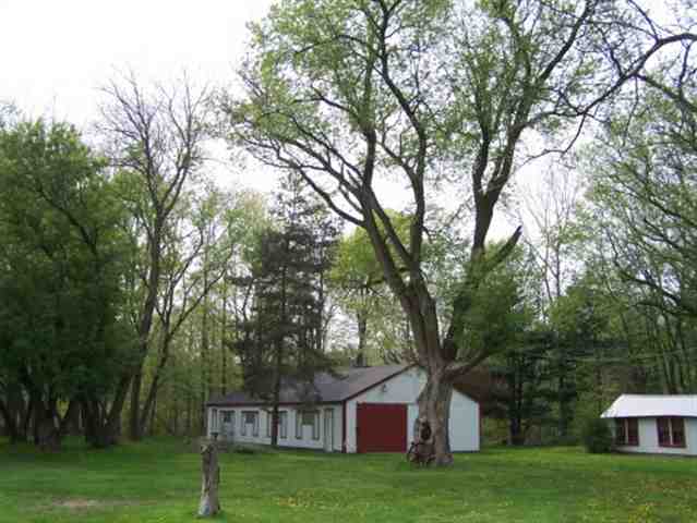 8800 Morris Road Goodells, MI 48027 - Photo 3 of 20 31056378-2.JPG