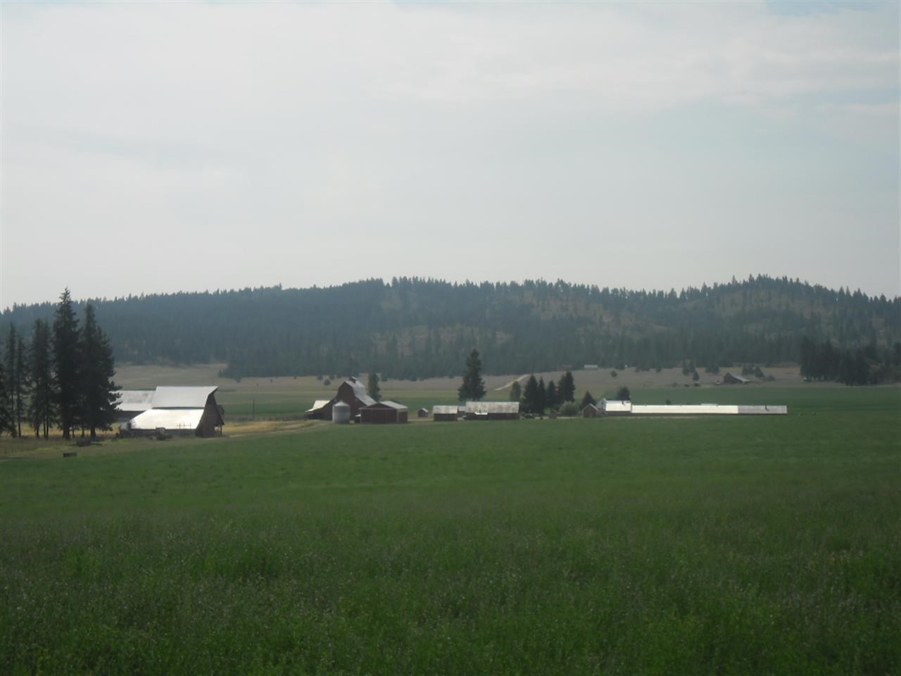 5175 South Swenson Road Deer Park, WA 99006 - Photo 1 of 19 Gallery Image 1