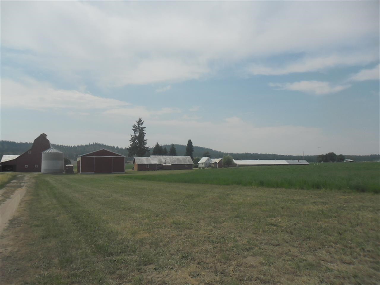5175 South Swenson Road Deer Park, WA 99006 - Photo 11 of 19 Gallery Image 11