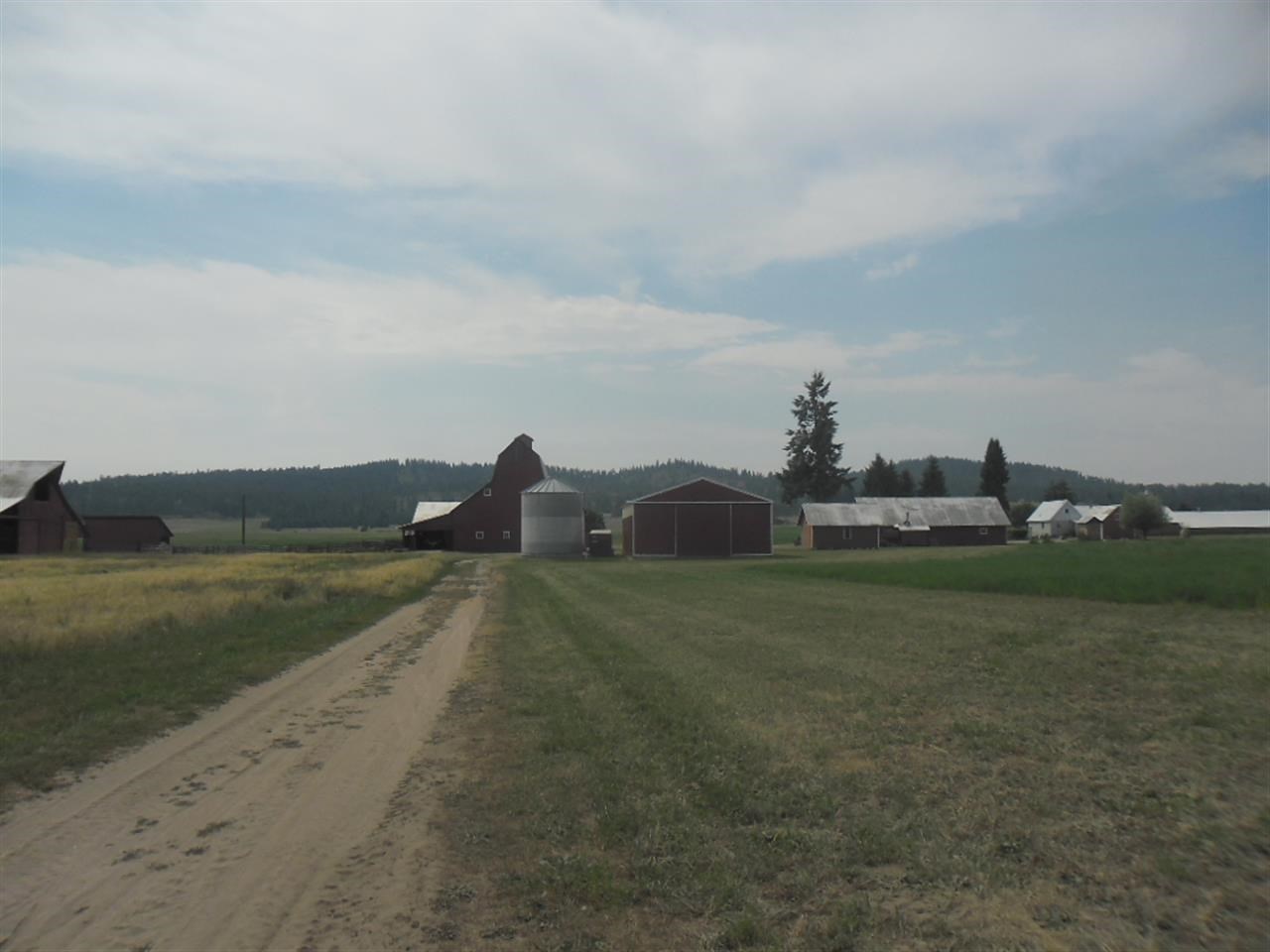 5175 South Swenson Road Deer Park, WA 99006 - Photo 12 of 19 Gallery Image 12
