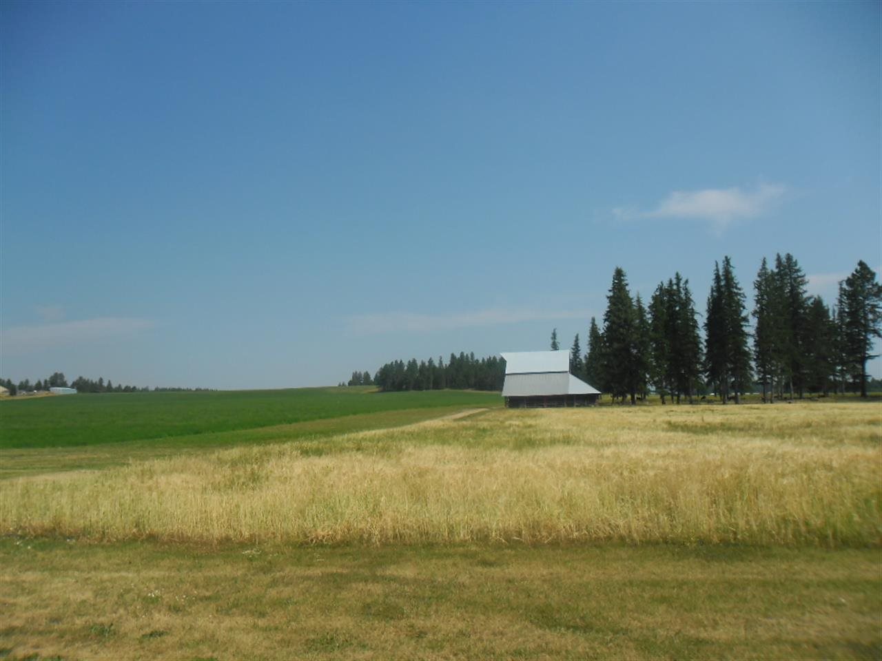 5175 South Swenson Road Deer Park, WA 99006 - Photo 8 of 19 Gallery Image 8