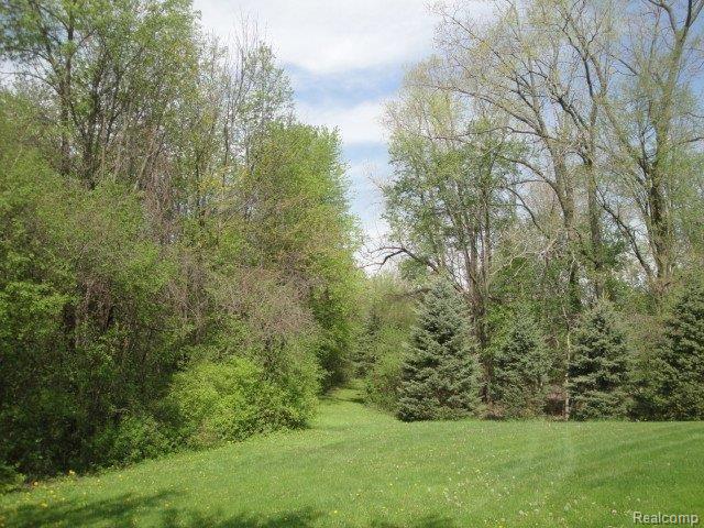 1380 Hemingway Road Lake Orion, MI 48360 - Photo 16 of 17 Rear View #1.jpg