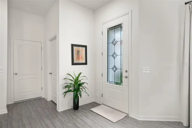 an entryway with wooden floor and a potted plant