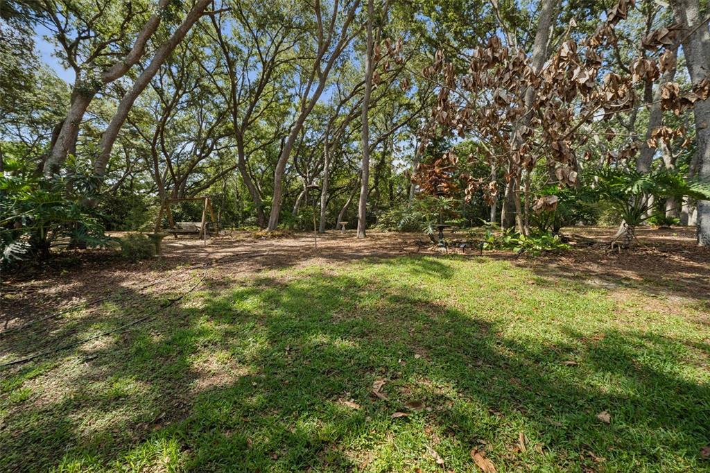 17056 Red Bird Road Winter Garden, FL 34787 - Photo 23 of 35
