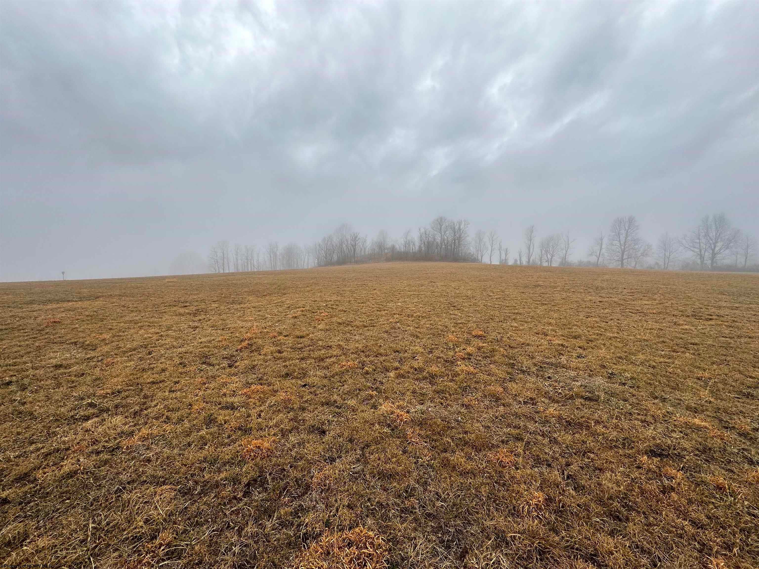 Tbd Windy Ridge Lane Albright, WV 26519 - Photo 8 of 16 Gallery Image 8
