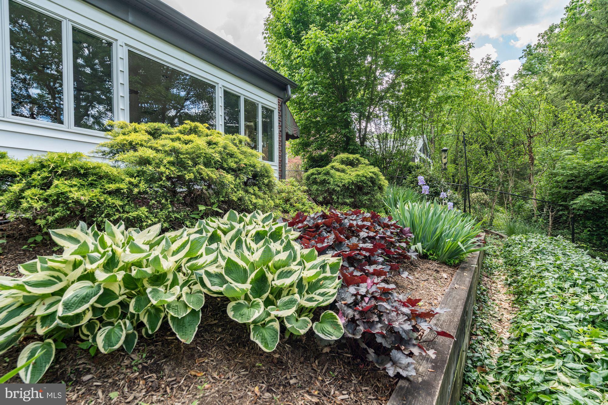 7604 Sebago Road Bethesda, MD 20817 - Photo 31 of 31 Beautiful Gardens
