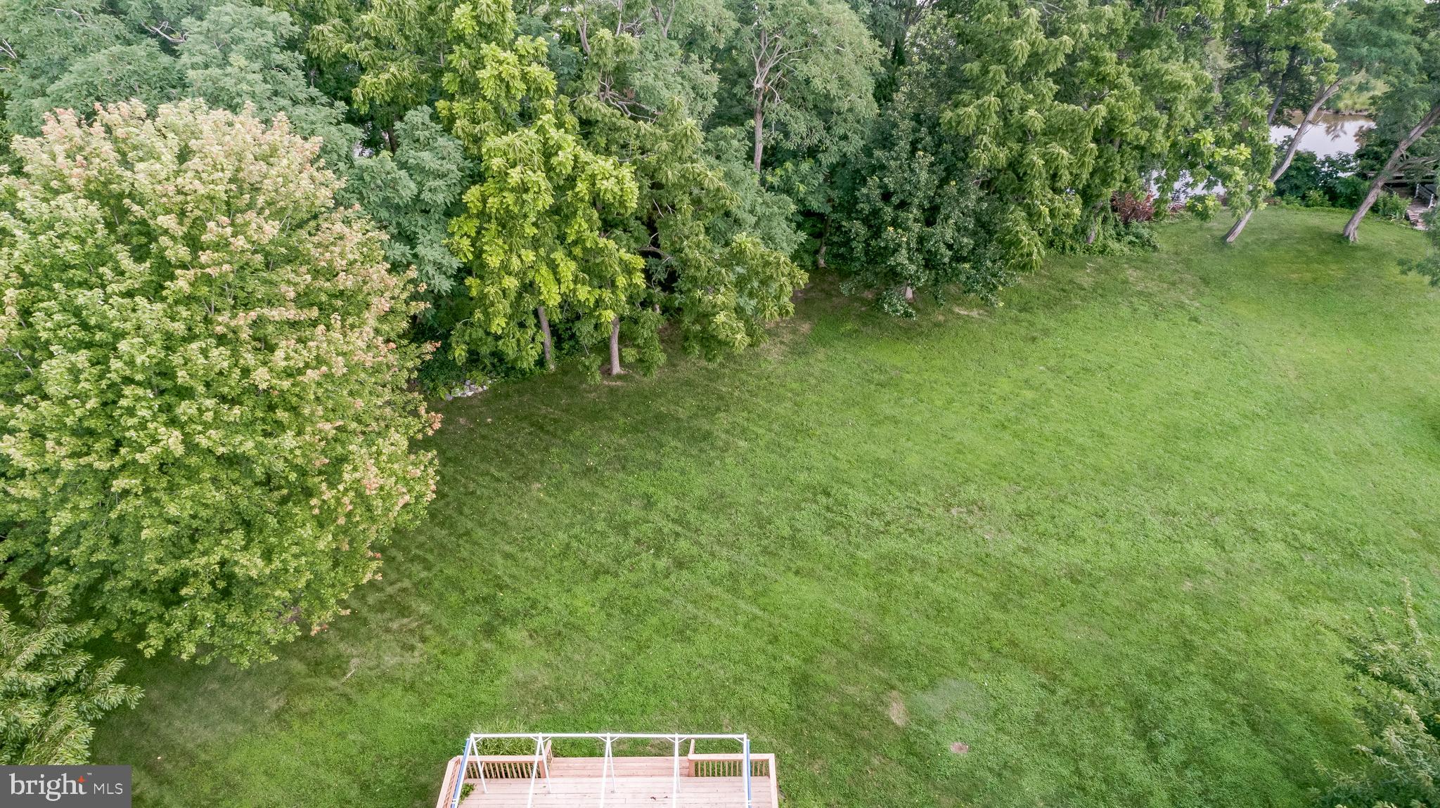 5965 Ketch Road Prince Frederick, MD 20678 - Photo 45 of 56 a view of a lush green forest with lots of trees