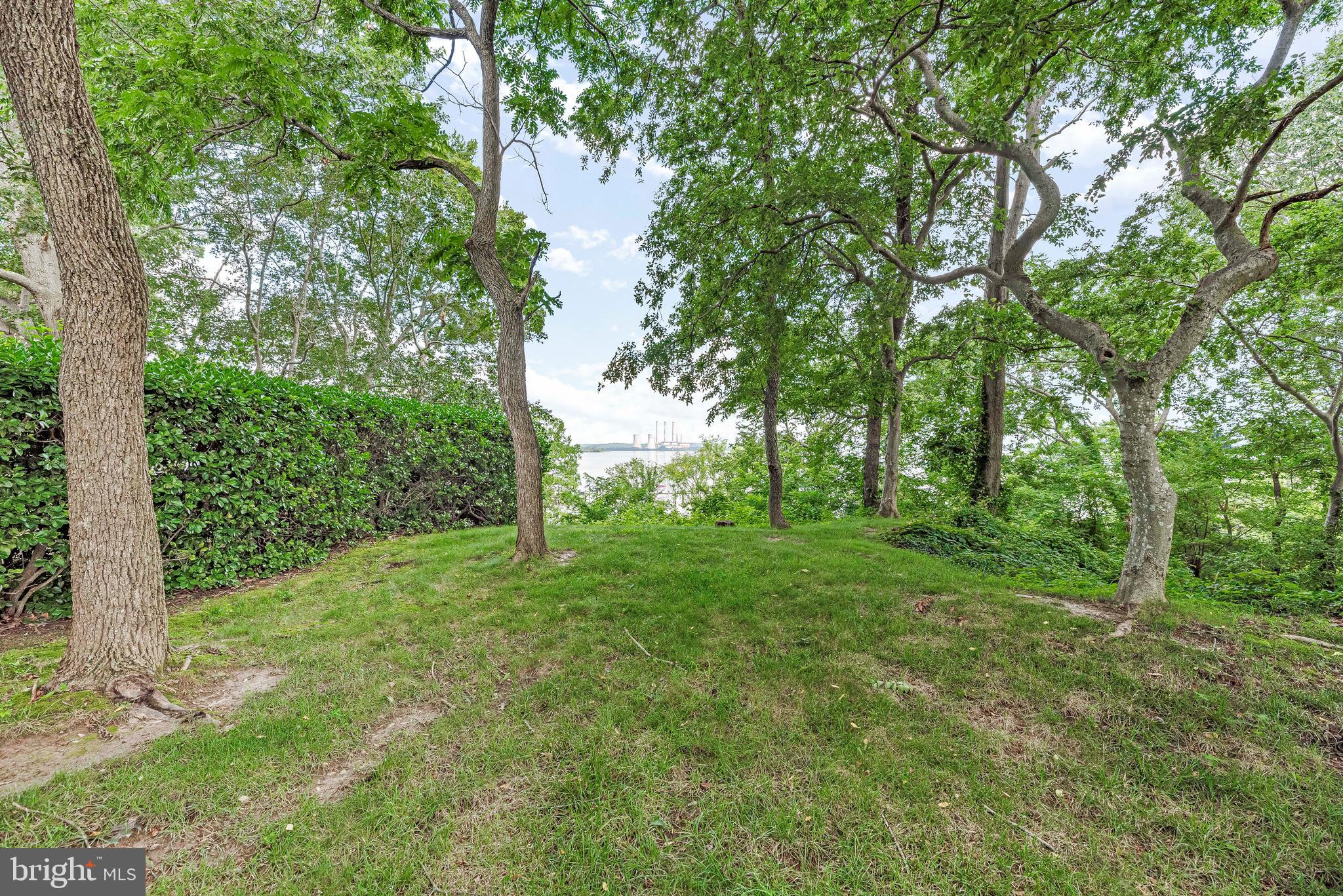 5965 Ketch Road Prince Frederick, MD 20678 - Photo 6 of 56 a large yard with lots of green space and trees