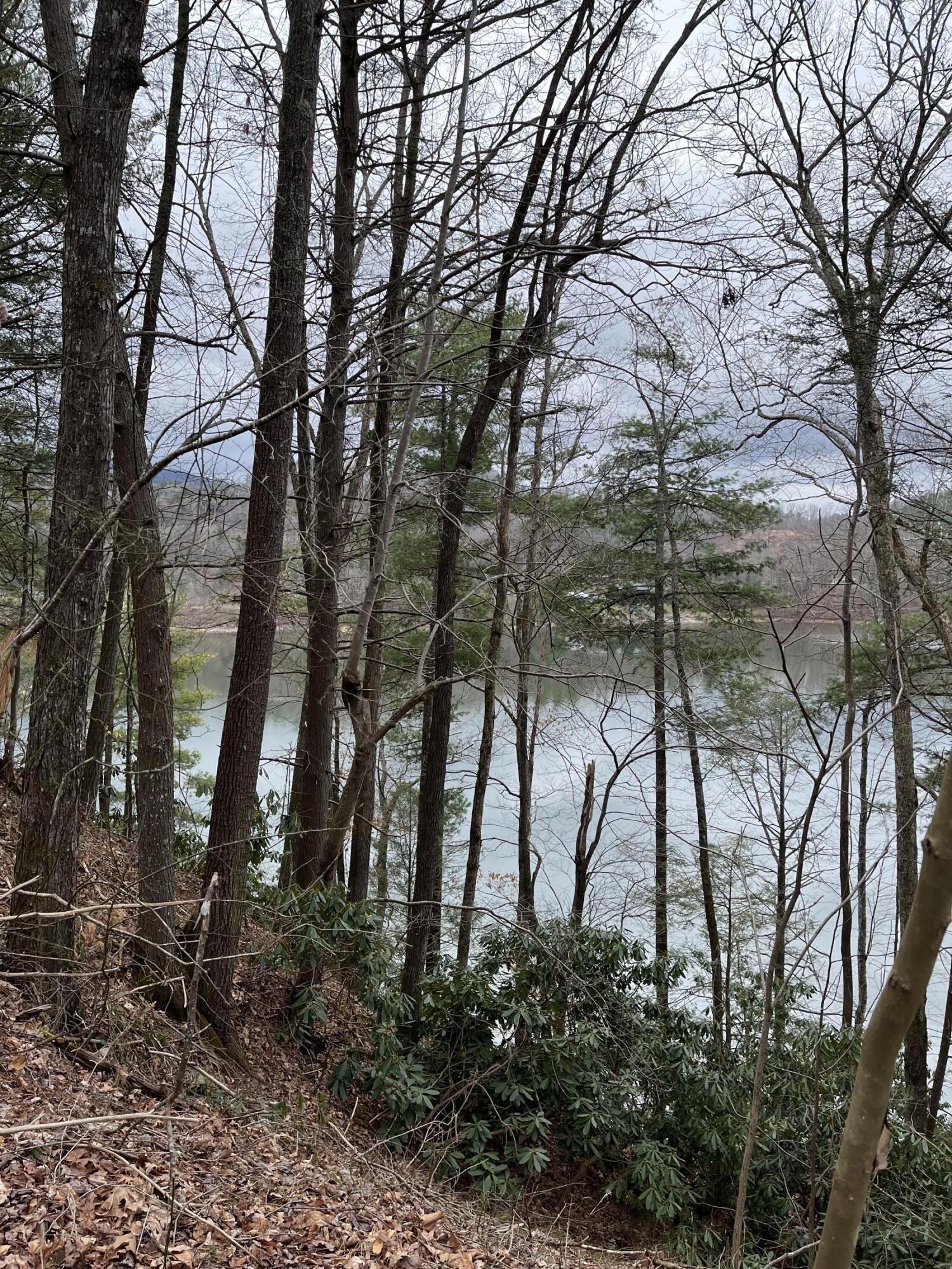 0 Draft Road Butler, TN 37640 - Photo 2 of 4 McGuire Lake front