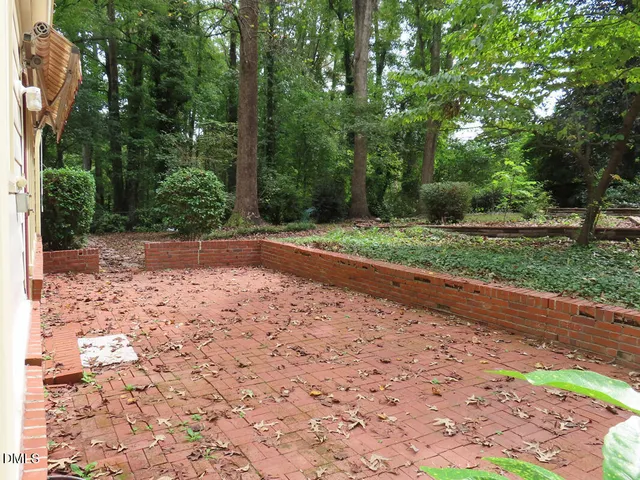 a view of a yard with plants and large trees