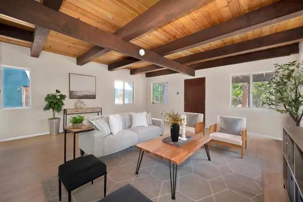 a living room with furniture and a potted plant
