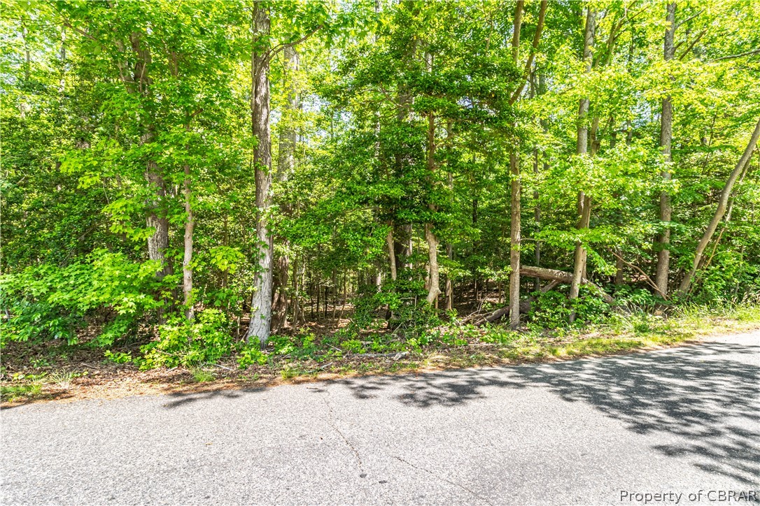 0 Walnut Road Kilmarnock, VA 22482 - Photo 3 of 4