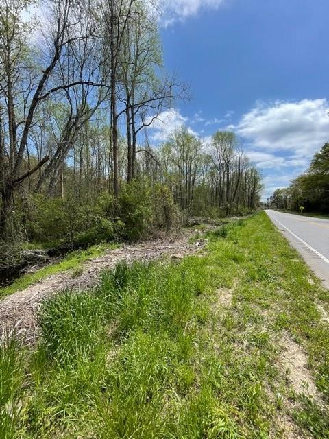 0 Cane Savannah Road Wedgefield, SC 29168 - Photo 2 of 3 Gallery Image 2