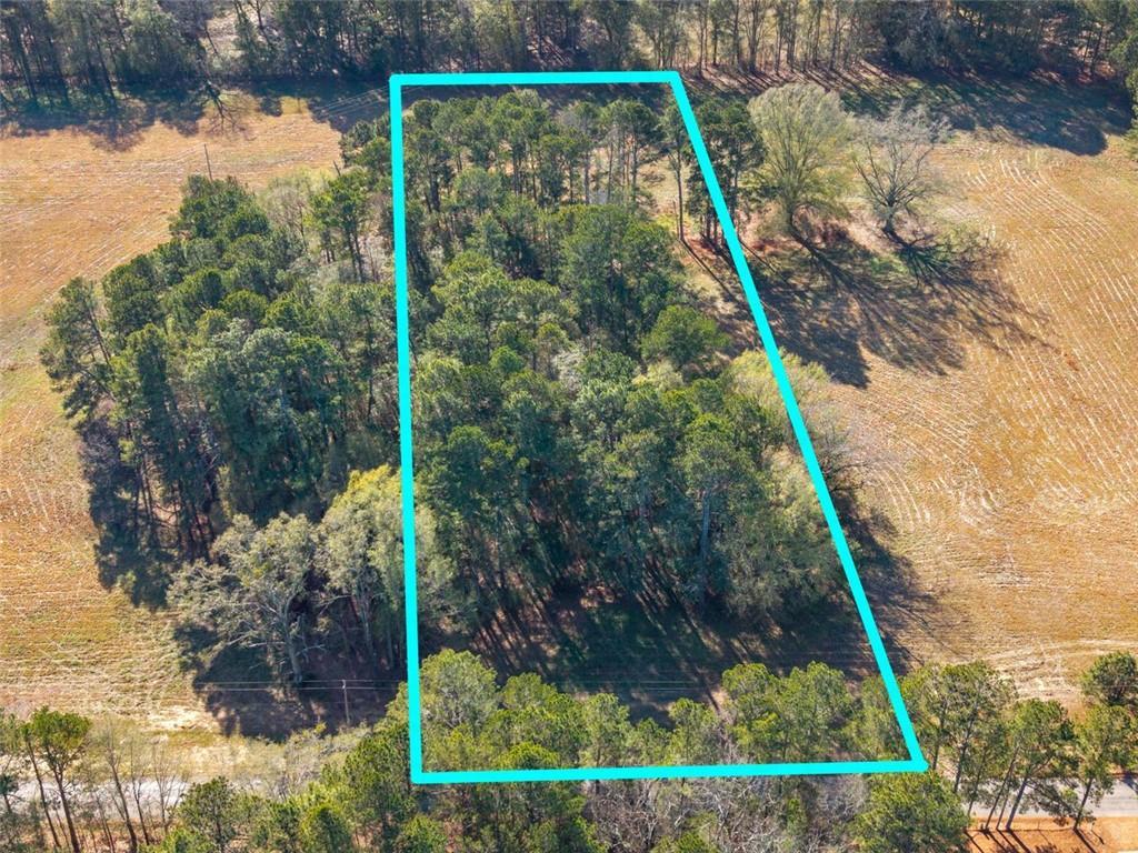 172 Loyd Road Mansfield, GA 30055 - Photo 17 of 17 a view of small yard