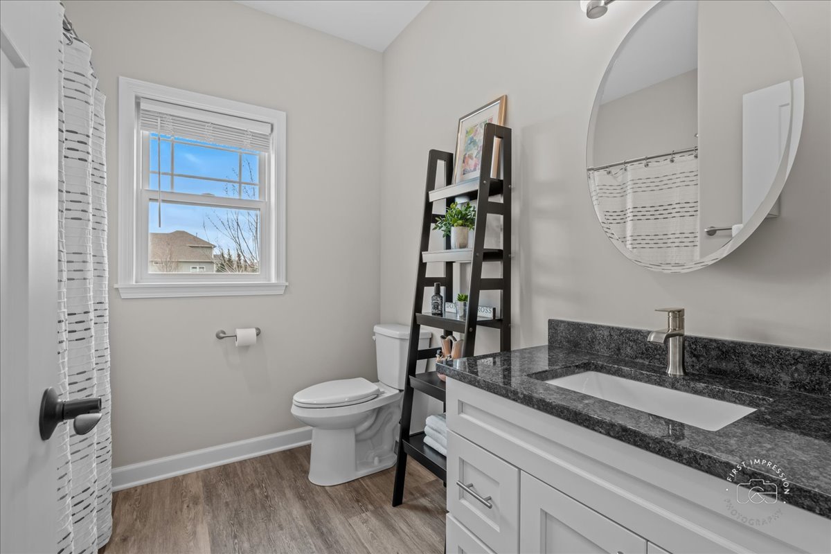 1909 Constitution Street Sycamore, IL 60178 - Photo 17 of 39 a bathroom with a granite countertop sink toilet and painting on the wall