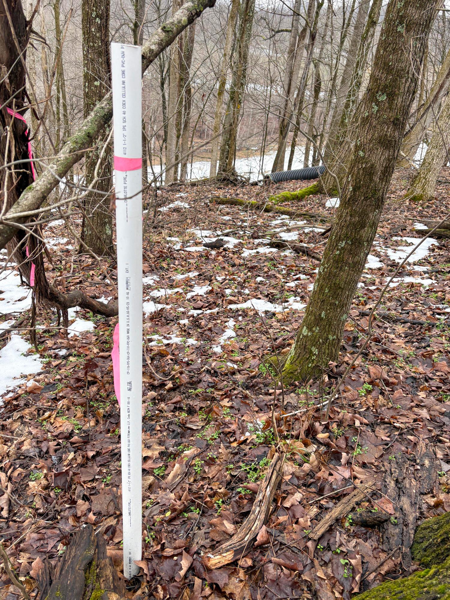 4 Twp Road Woodsfield, OH 43793 - Photo 10 of 31 Tract 4_TD-20