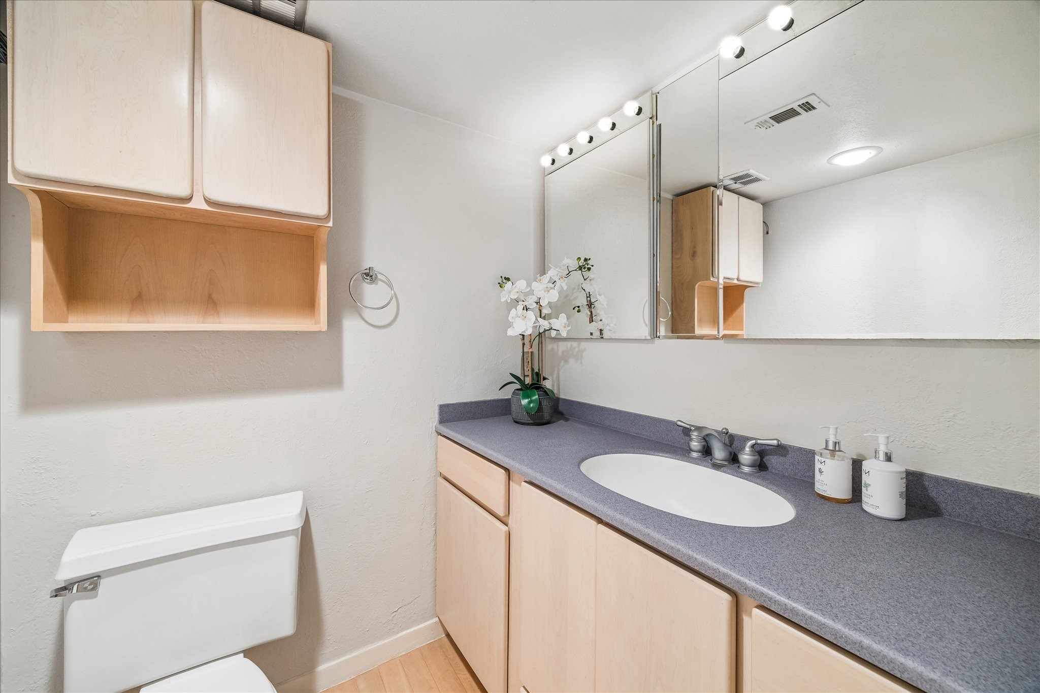 6659 Bayou Glen Road Houston, TX 77057 - Photo 12 of 23 The primary bath featuring mirrored medicine cabinets above the vanity and storage below.