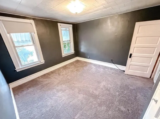 a view of a park with a tree