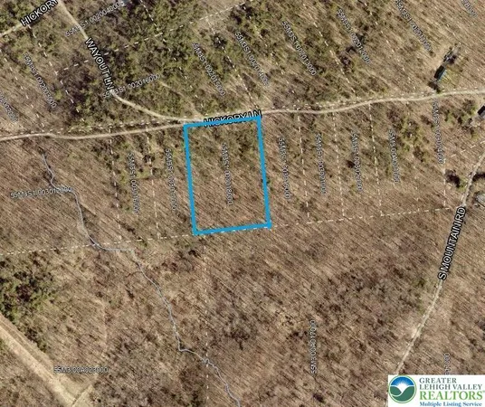 a aerial view of a yard