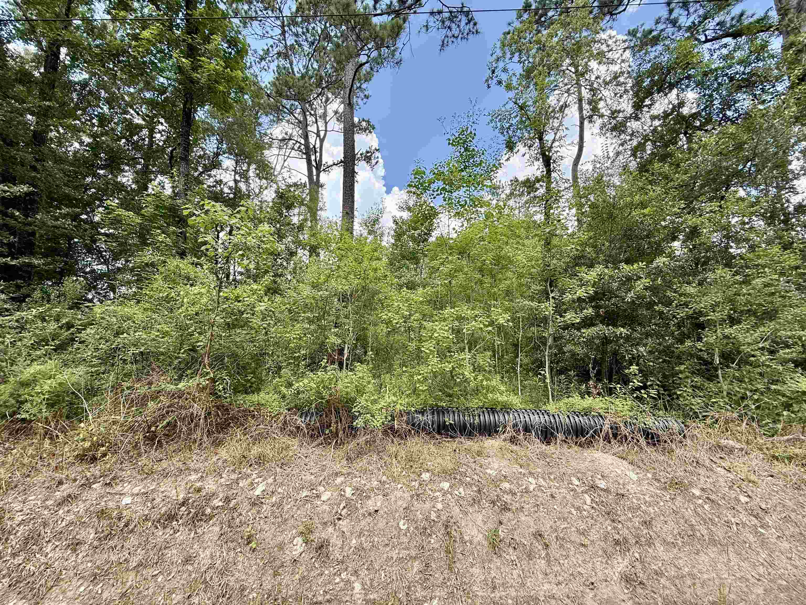 1030 Butler Road Vidor, TX 77662 - Photo 3 of 5