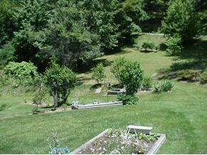 9976 D Caney Rdg Road Coeburn, VA 24230 - Photo 2 of 7 Side yard with trees