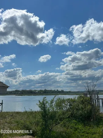 a view of a lake in middle of forest