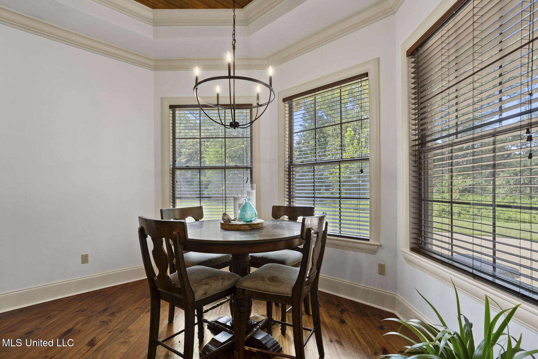 209 Sunset Circle Madison, MS 39110 - Photo 20 of 63 209 Sunset cir-29