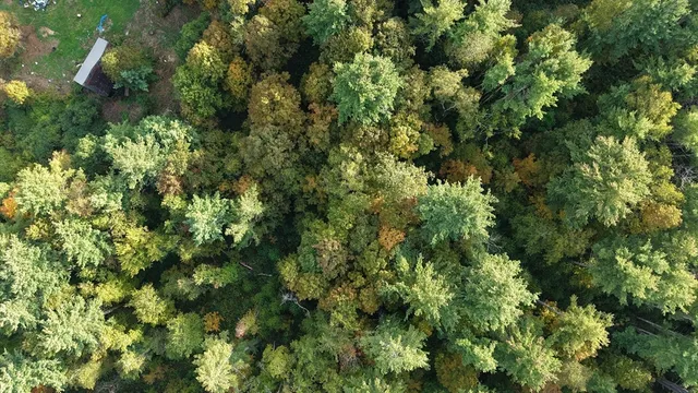 $69,999 | 40.3 Sandisfield Road, Sandisfield, MA 01255