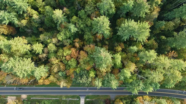 $69,999 | 40.3 Sandisfield Road, Sandisfield, MA 01255