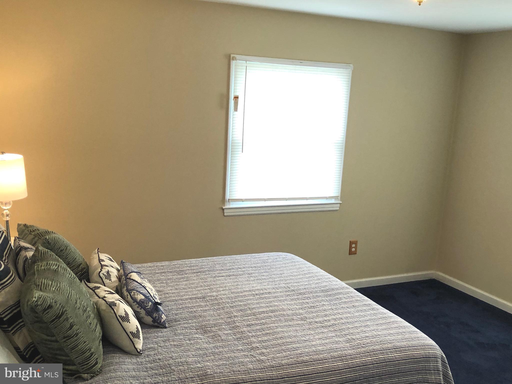 1014 South Ironwood Road Sterling, VA 20164 - Photo 12 of 32 Primary bedroom with 2 windows and bathroom