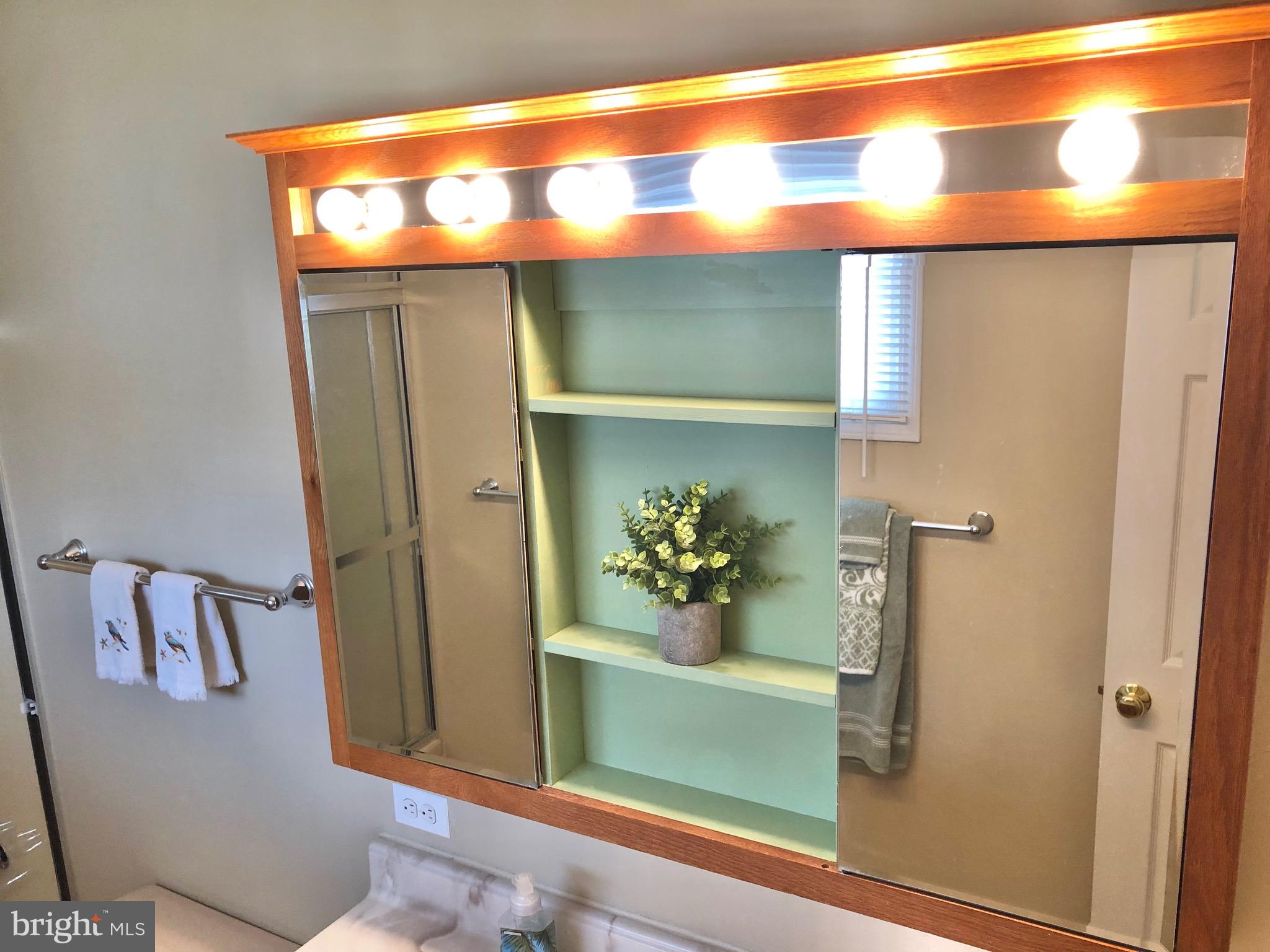 1014 South Ironwood Road Sterling, VA 20164 - Photo 17 of 32 Three compartment, lighted, wall chest