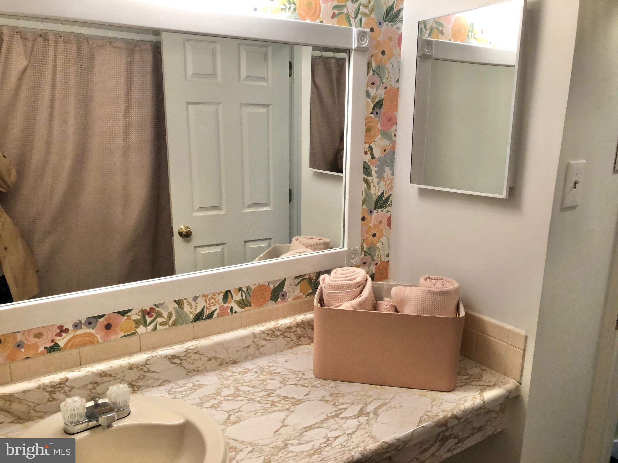 1014 South Ironwood Road Sterling, VA 20164 - Photo 21 of 32 Hall bathroom, single bowl vanity