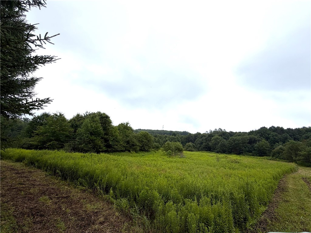 10005 Sawmill Run Road Napoli, NY 14755 - Photo 29 of 43 Gallery Image 29