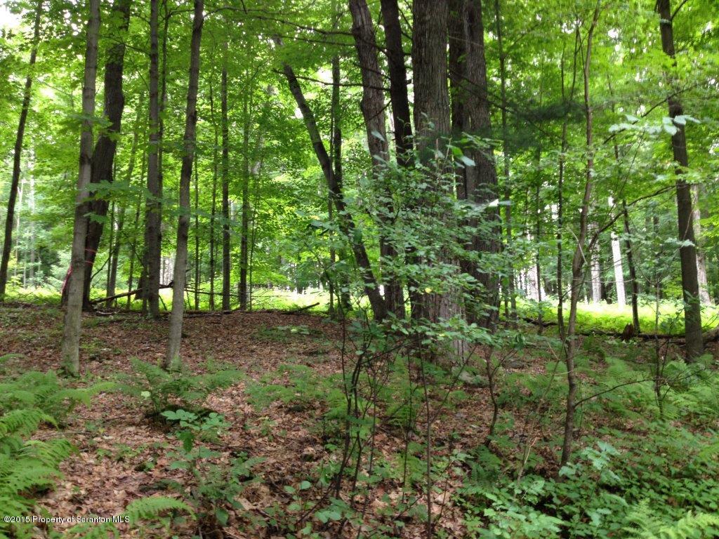 321 Como Road Lake Como, PA 18437 - Photo 4 of 11 Gallery Image 4