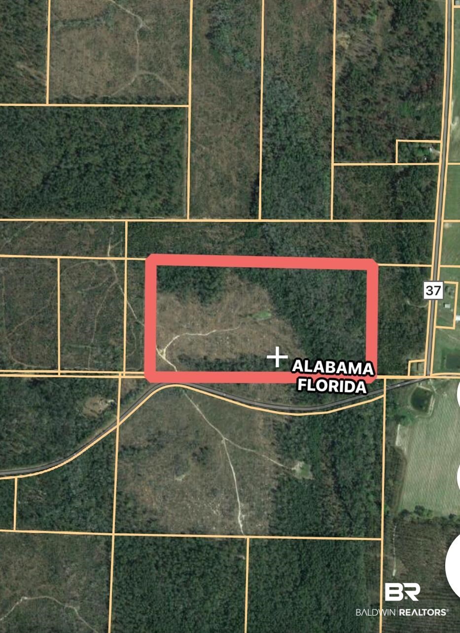 0 Bradley Road Wing, AL 36483 - Photo 1 of 1 50 acres in Alabama on the Florida line.