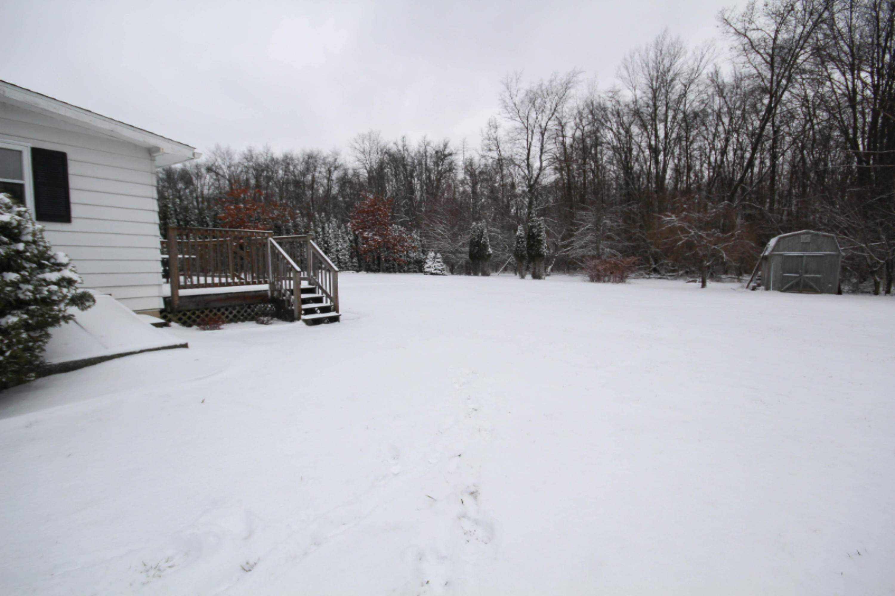 55788 Seekle Road Three Rivers, MI 49093 - Photo 3 of 32 IMG_5155