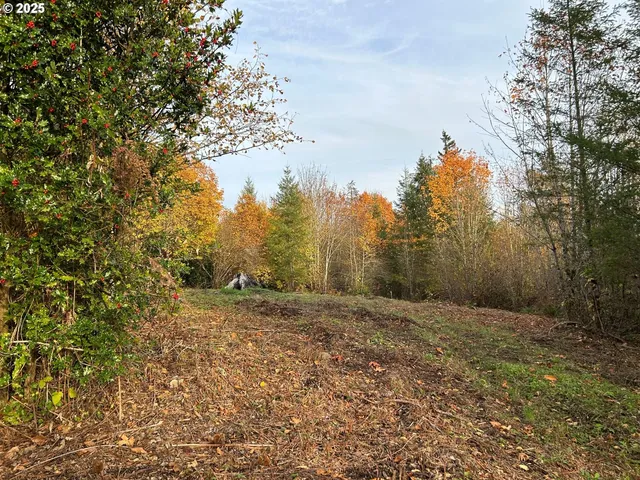 a view of an outdoor space with trees