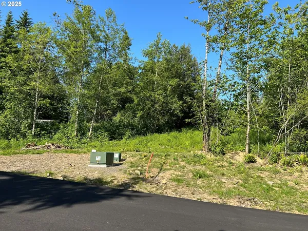 a view of a yard with plants and a bench