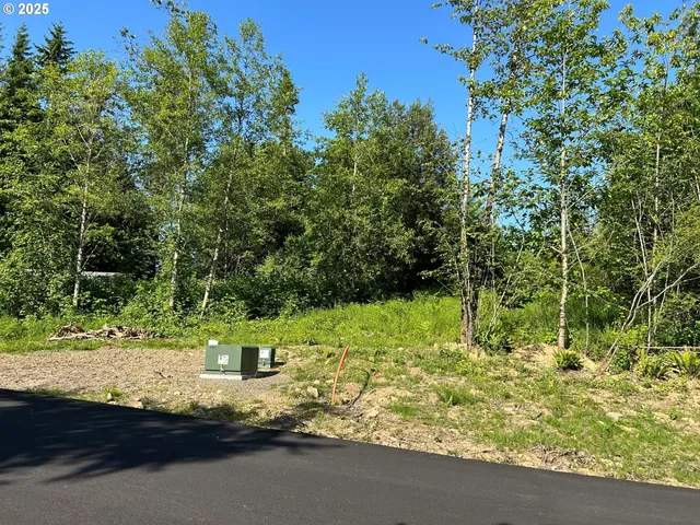 a view of a yard with plants and a bench