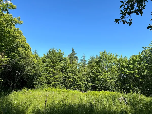 a view of a garden
