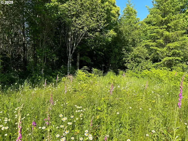 a view of plants and large trees