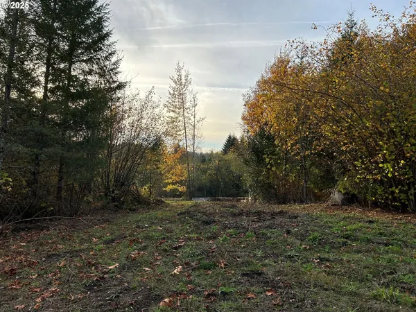 a big yard with lots of green space
