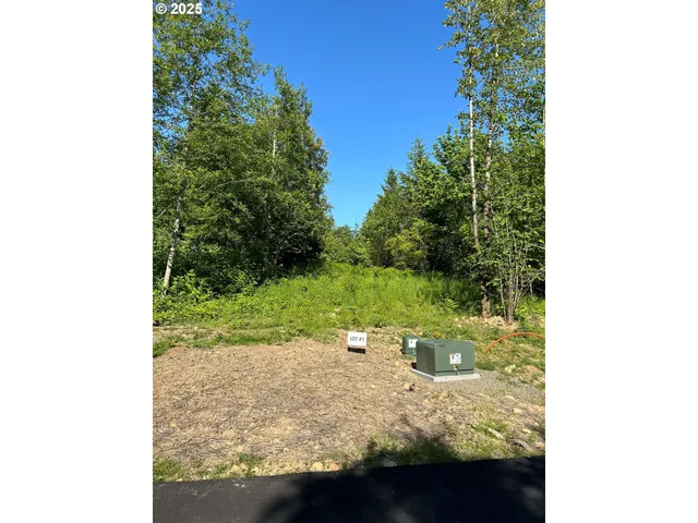a view of a wooden floor with a tree