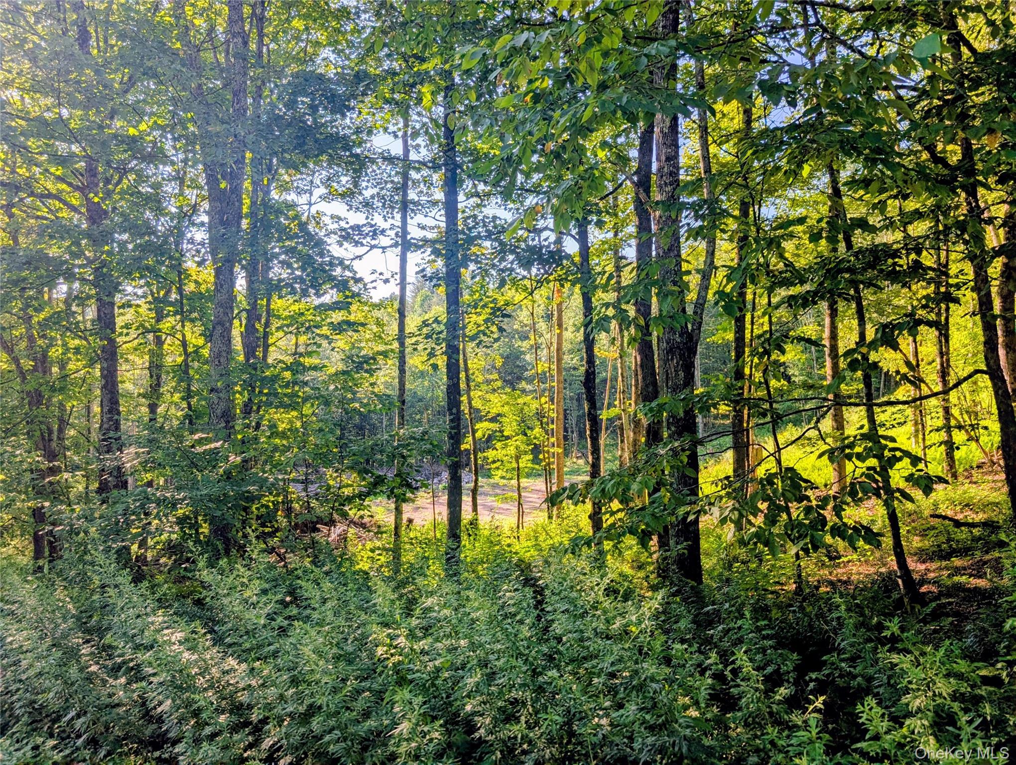 Hurd Road Swan Lake, NY 12720 - Photo 23 of 25 Gallery Image 23