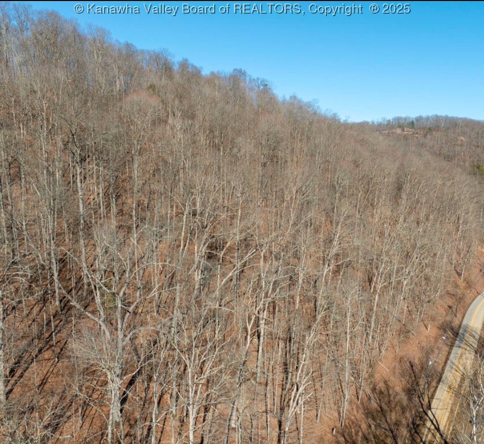 0 Rutledge Road Charleston, WV 25311 - Photo 7 of 9 Gallery Image 7