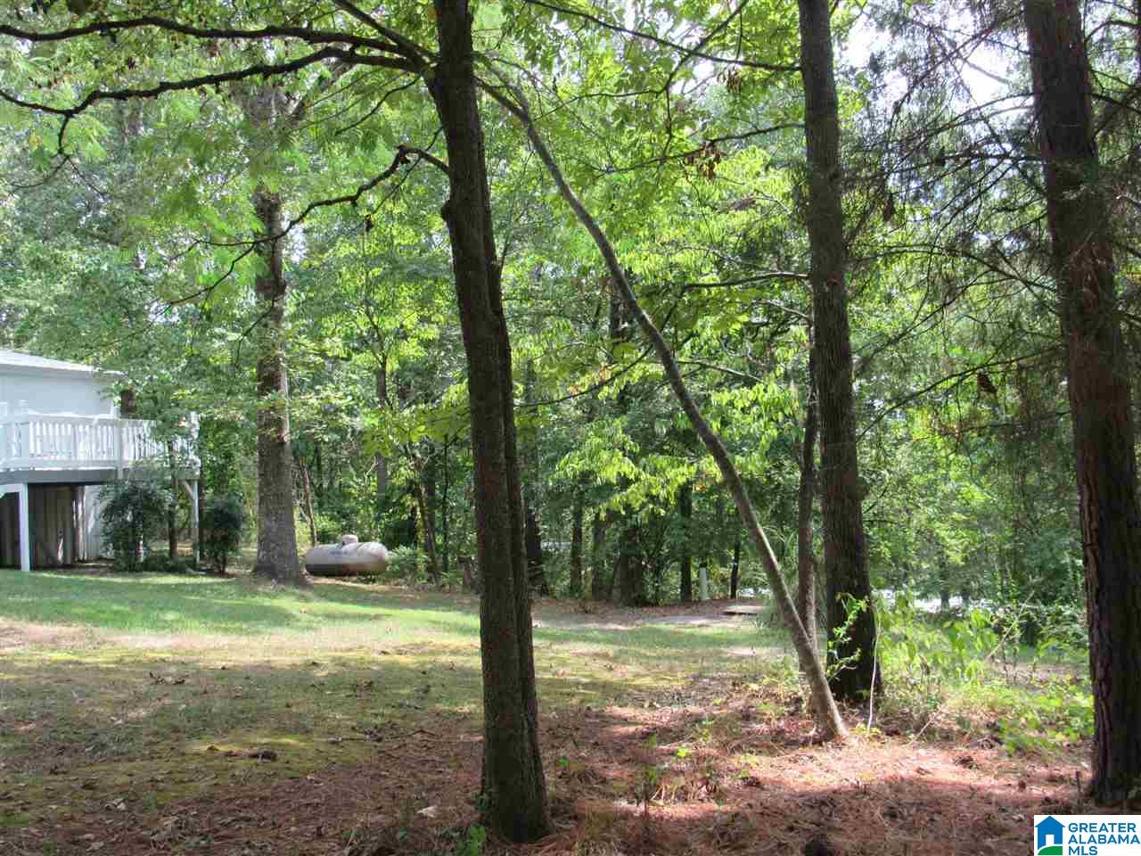175 County Road 772 Montevallo, AL 35115 - Photo 29 of 50